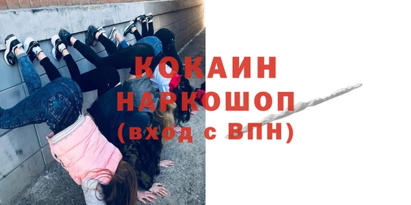 хмурый Михайловск