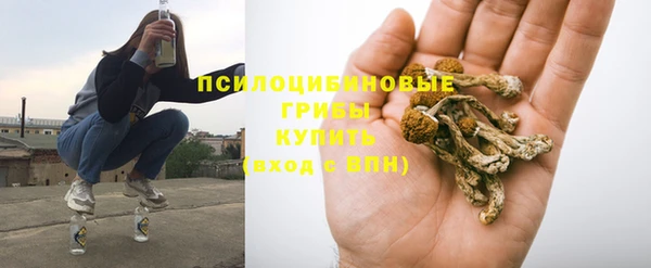 гидра Навашино